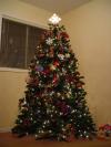 Filename=DSC04044.JPG
Filesize=80KiB
Dimensions=576x768
Date added=Dec 16, 2003 DSC04044.JPG
